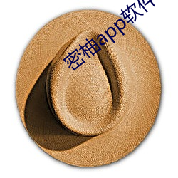 密柚app软件下载安(安)装