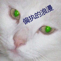 偏执的浪漫