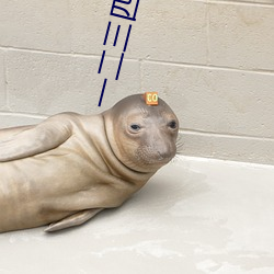 一二三四区无线乱码