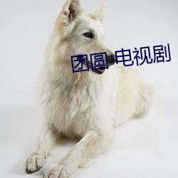 团圆 电视剧