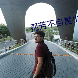 孤芳不自赏小说
