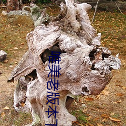 918博天堂·(中国)手机版客户端