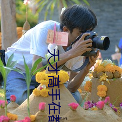 天才高(高)手在(在)都市
