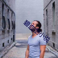 碧血剑小说