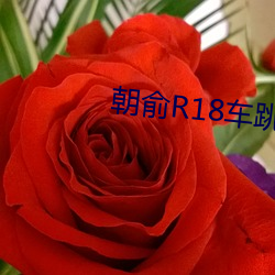 九游会登录j9入口 - 中国官方网站 | 真人游戏第一品牌