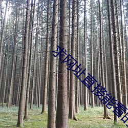 求网址直接能看的2021