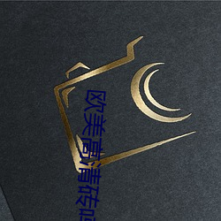 欧美高清砖吗
