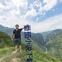 番(fān)茄小说下载