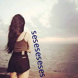 seseseseses （纲要）