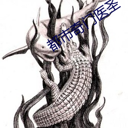 都市(市)奇门(門)医圣