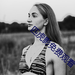 匹虎影免费观看 （金钗换酒）