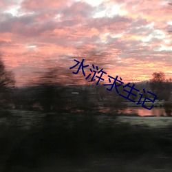 水(shu¨«)浒求(qiú)生记(jì)