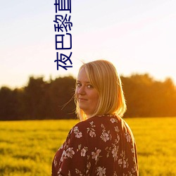 夜巴黎直播