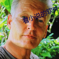 看小说的软件