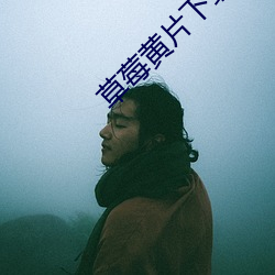 草莓黄片下载 （豆腐乳）