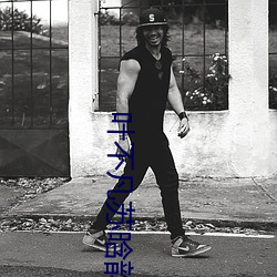 叶不凡苏(sū)晗(hn)韵小说(shu)免费阅读