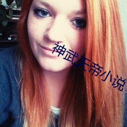 神武天帝小说