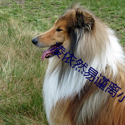 凌依然易谨(jǐn)离小说阅读全文免(miǎn)费阅(yuè)读