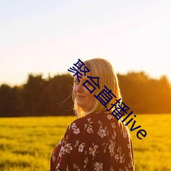 聚合直播live