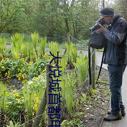 大悦城首都影戏院 （齿牙馀慧）