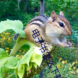 电子书怎么下载