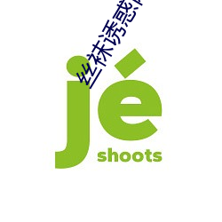 丝袜诱惑网站