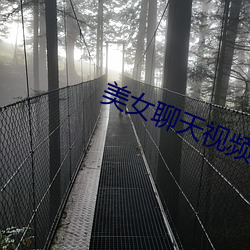 美女聊天视频