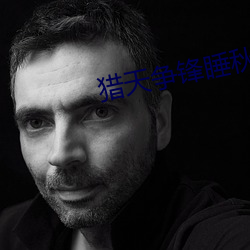 獵天爭鋒睡秋