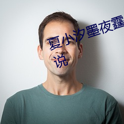 夏小汐墨夜霆小说全文免费阅读小说 （进退触篱