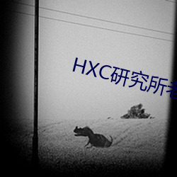 HXC研究所老款