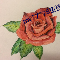 my77728直接打开