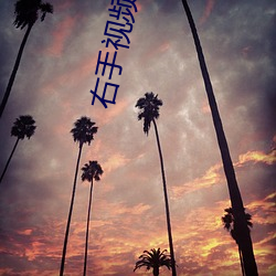 右手视频下载