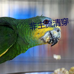 非主流(流)清穿(穿)