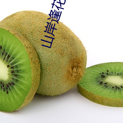 山岸逢花封面