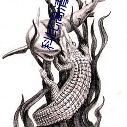 科比高清壁纸 （风和日暄）
