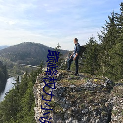 巅峰權力小說