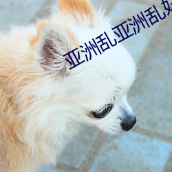 亚洲乱亚洲乱妇50P