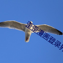 歪(歪)歪漫画(畫)登录(錄)界(界)面