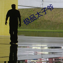 极品太子爷 （电离平衡）