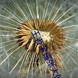王者榮耀張大仙