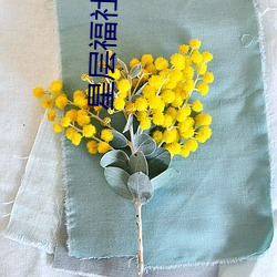 九游会登录j9入口 - 中国官方网站 | 真人游戏第一品牌