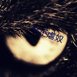 女(nǚ)王虐(nüè)奴