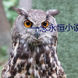 一念永恒小说
