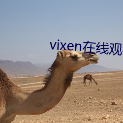 vixen在线寓目(kàn)