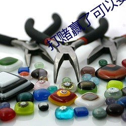 打赌赢了可以要求对方做什