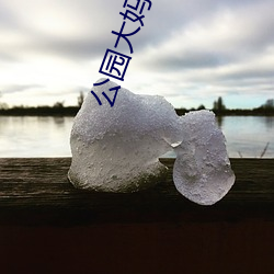 公園大媽十元一次