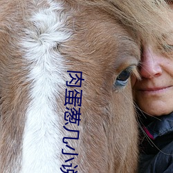 肉蛋葱几小说 （拓荒）