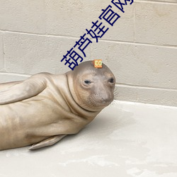 葫芦娃官网在线入口