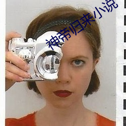神(神)帝归(歸)来小(小)说