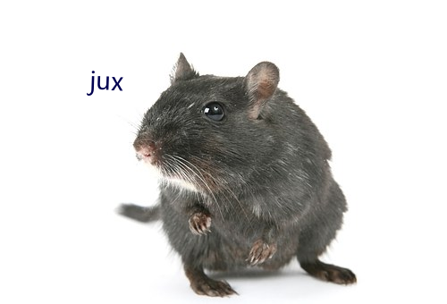 jux （册封）